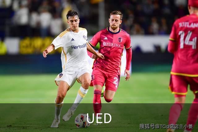 UED公司简介